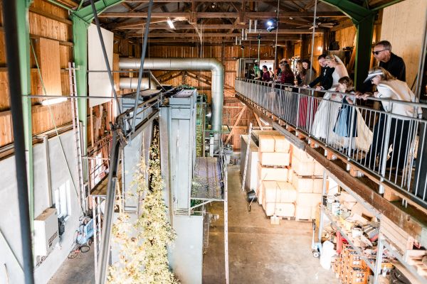 Hochzeitsgäste bei einer Führung durch die Hopfentrocknungsanlage im Hopfengut No20 Tettnang