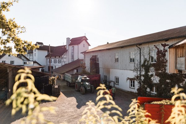 Hofszene am Hopfengut No20 in Tettnang bei Sonnenschein