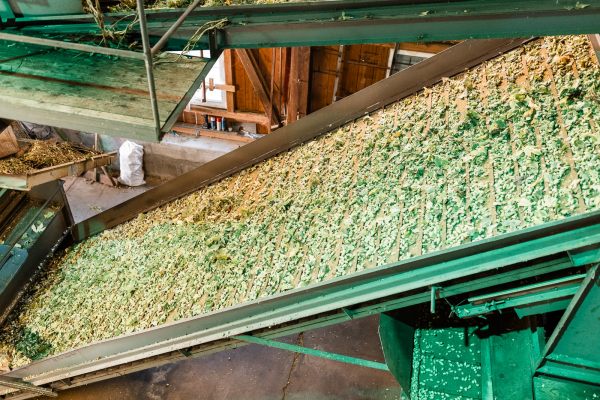 Hopfenverarbeitung im Hopfengut No20 Tettnang