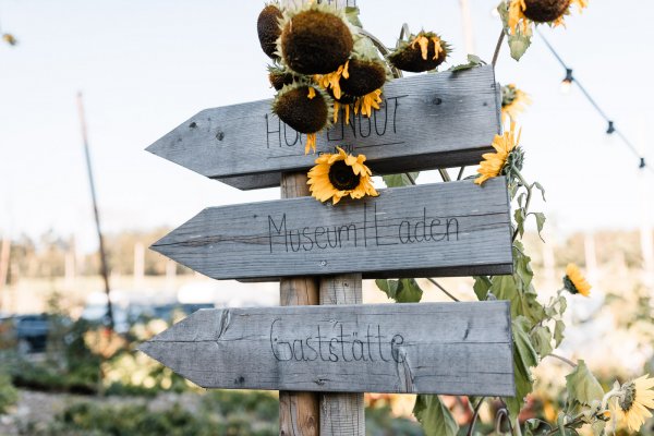 Wegweiser mit Sonnenblumen am Hopfengut No20 in Tettnang