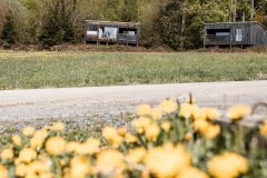 Moderne Holzhütten und blühender Löwenzahn auf der Gutsalm Harlachberg