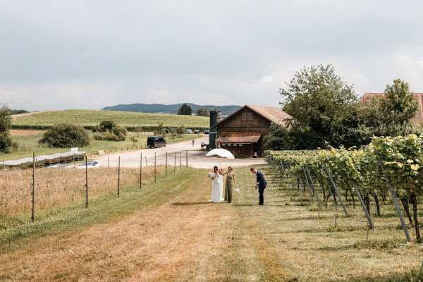 Brautpaar im Weinberg beim Birnauer Oberhof