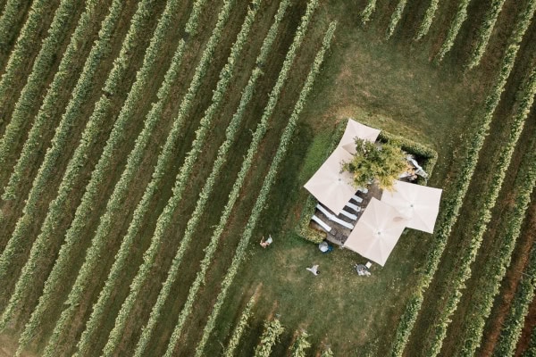 Hochzeitsfeier im Weinberg am Birnauer Oberhof