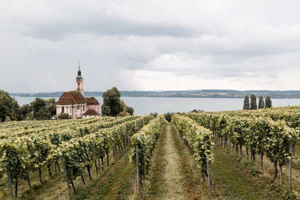 Wallfahrtskirche Birnau und Weinberge am Bodensee